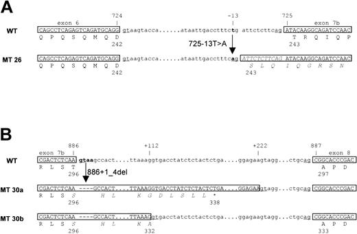 Figure 3. Introduction of alternative splice sites in cases 26 and 30. (A) Case 26, the T>A replacement in the intron results in a frame shift that makes a new splice acceptor 11 bp upstream (5′) of the authentic splice acceptor. (B) Case 30, a 4-bp deletion, including splice donor sites, resulted in use of 2 cryptic splice donor sites 208 bp and 108 bp downstream (3′) of the authentic splice donor site. WT indicates wild-type; MT, mutants.