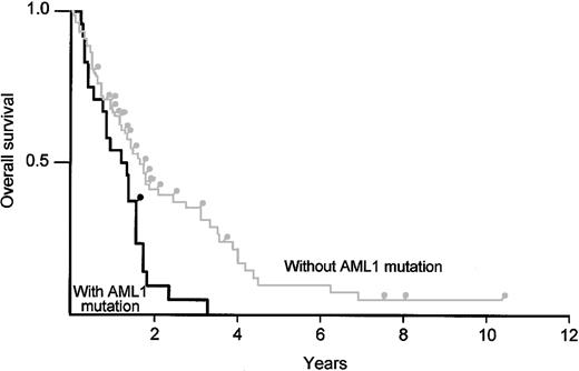 Figure 4. Kaplan-Meier analysis comparing overall survival of patients with MDS/AML (RAEB, RAEBt, and AML following MDS) and AML1 point mutations with the survival of patients without an AML1 mutation. The black line indicates patients with an AML1 point mutation; the gray line indicates patients without an AML1 mutation.