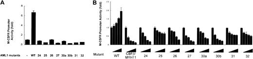 Figure 6. Transcriptional potential of AML1 mutants. (A) Transcriptional activities of the AML1 mutants in HeLa cells. Cells were transfected with 5 μg pM-CSF-R-luc, 3 μg FLAG-tagged AML1 or AML1 mutant expression vector, 1 μg CBFβ expression vector, and 0.25 μg pRL-tk as an internal control to normalize luciferase activities for transfection efficiency. (B) Transcriptional activities of the AML1 mutants in U937 cells. Cells were transfected with 2 μg pM-CSF-R-luc reporter plasmid, the indicated amounts of AML1 expression constructs, and 0.2 μg pRL-tk as an internal control to normalize luciferase activities for evaluation of transfection efficiency. The expression vector containing wild-type AML1 (0.2 μg) was cotransfected with increasing doses (0, 0.1, 0.2, 0.4, and 0.6 μg) of expression vectors containing CBFβ-MYH11 or various AML1 mutations. Each value represents the mean of 3 independent experiments. The error bars indicate the mean ± standard deviation.