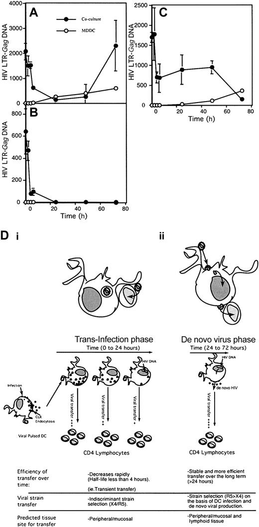 Figure 7. Phases of HIV transfer from MDDCs to CD4 T cells. Both immature MDDCs (A-B) and mature MDDCs (C) were treated with infectious HIV-1BaL for 2 hours and washed. MDDCs were then cultured in IL-4/GM-CSF media for varying time points. In panel B, MDDCs were cultured in the presence of 10 μM zidovudine. MDDCs at indicated time points were washed, harvested by pelleting, and resuspended in IL-4/GM-CSF media and then cultured with PHA-activated CD4+ T cells in a ratio of 1 DC to 4 CD4+ T cells. At 24 hours after mixing of the cells, the combined cell pellet was lysed and assayed for full-length HIV-1 DNA by Q-PCR. Pure cultures of MDDCs were also harvested at the same time points to determine DNA levels in DCs alone. The DNA input into the cocultures by DCs was subtracted from coculture HIV-1 DNA and is presented as HIV-1–LTR gag DNA per 1 × 106 cells. HIV-1–LTR gag DNAin 0.2 × 106 DCs is also presented in overlaid graphs in open circles. In panel D, a model of transfer from immature MDDCs to CD4+ lymphocytes over time is illustrated on the basis of results in upper panels A-B. In panels Di-ii, the characteristics of both phases of HIV-1 transfer from MDDCs to CD4+ lymphocytes are shown. The first phase (i) results from diversion of infectious virus from the endolysosomal pathway of degradation (“trans-infection”). The proposed second phase (ii) of de novo viral production in DCs (“cis” infection) prior to transfer to CD4+ lymphocytes. Note that this phase is stable and consistent with R5 HIV-1 strain selection initially observed in in vivo HIV-1 transmission.