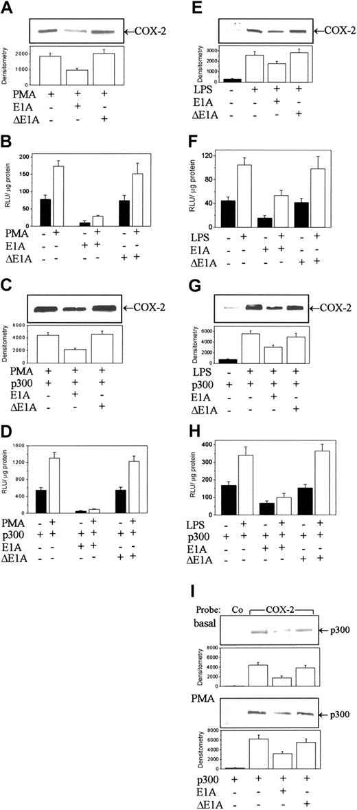 Figure 3. E1A but not an E1A deletion mutant (ΔE1A) transduction blocked COX-2 expression and p300 binding to COX-2 promoter in HFb and RAW 264.7 cells. (A-D) Protein levels (A,C) and promoter activities (B,D) in PMA-treated HFb without p300 transfection and with p300 transfection (C-D). (E-H) COX-2 protein levels (E,G) and promoter activities (F,H) in LPS-treated RAW 264.7 cells without (E-F) and with (G-H) p300 transduction. (I) The binding of p300 to a COX-2 versus control probe. Co indicates a control probe; and COX-2, the COX-2 probe. In panels A, C, E, G, and I, the top panel shows a representative blot and the bottom panel shows mean ± SEM of the densitometry from 3 experiments. Other bars also denote mean ± SEM of 3 experiments.
