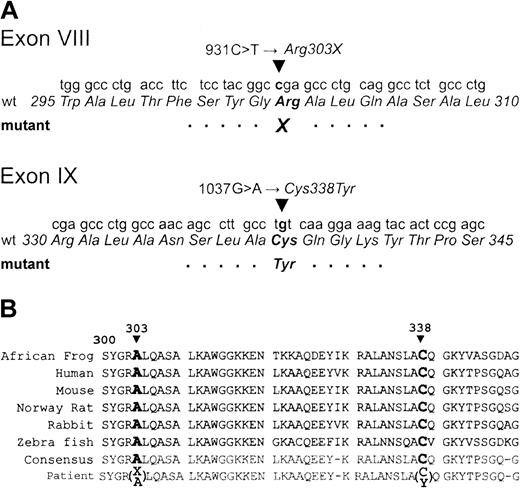 Figure 1. Genetic analysis of aldolase A gene mutations. (A) Sequence analysis of ALDOA exon VIII and IX and predicted amino acid change. A heterozygous mutation in exon VIII was found in the patient and her father. Maternal exon VIII (not shown) was wild type. In exon IX, the patient and her mother share a heterozygous mutation, which is absent in her father. (B) ALDOA sequence alignment. Partial human aldolase A polypeptide sequences from exons VIII and IX, aligned to highly conserved orthologs from other species (GenBank cDNA sequences: Xenopus, AAH46673; human, AAH16800; mouse, NP_031464; rat, NP_036627; rabbit, P00883; zebra fish, AAN04476). The patient's sequence, divergent at 2 otherwise invariant residues, is shown at the bottom.
