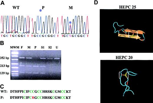 Figure 1. Molecular and biologic data of the C70R mutation. (A) Electrophoretograms of the HEPC genomic sequence spanning the C70R mutation. The sequence is shown for DNA of a wild-type subject (WT), proband (P), and the heterozygous mother (M). *indicates the mutation. (B) Restriction analysis of C70R mutation by SacII in the proband family. MWM indicates molecular weight marker; F, father; M, mother; P, proband; S1 and S2, siblings; and U, undigested fragment. (C) Comparison of wild-type and mutated peptide amino acid sequence. The 8 cysteines are indicated in green, the mutated arginine in red. (D) Three-dimensional structure of HEPC 25 and 20 amino acid peptides (from http://www.ncbi.nlm.nih.gov/). The mutated cysteine is indicated in yellow; a white bracket marks the S-S bond disrupted by the mutation.