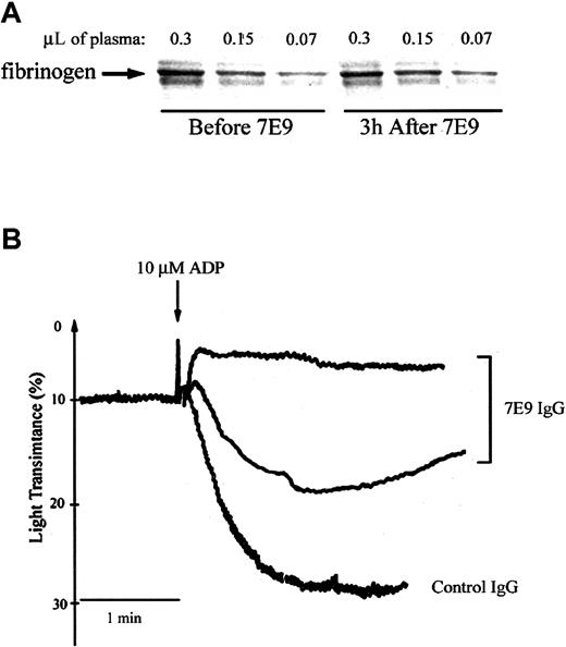 Figure 2. Administration of 7E9 in vivo does not affect plasma fibrinogen levels and inhibits platelet aggregation ex vivo 3 hours after injection. (A) Proteins in citrated mouse plasma obtained from the animal before and 3 hours after the injection of 7E9 IgG were separated on sodium dodecyl sulfate–polyacrylamide gel electrophoresis (SDS-PAGE) and transferred to polyvinylidene difluoride (PVDF) membrane; fibrinogen was then immunoblotted using an HRP-conjugated polyclonal rabbit antibody to human fibrinogen. (B) ADP-induced (10 μM) platelet aggregation 2 to 4 hours after the injection of control hamster IgG or 7E9 IgG. The upper tracing is representative of the results in 2 separate animals.