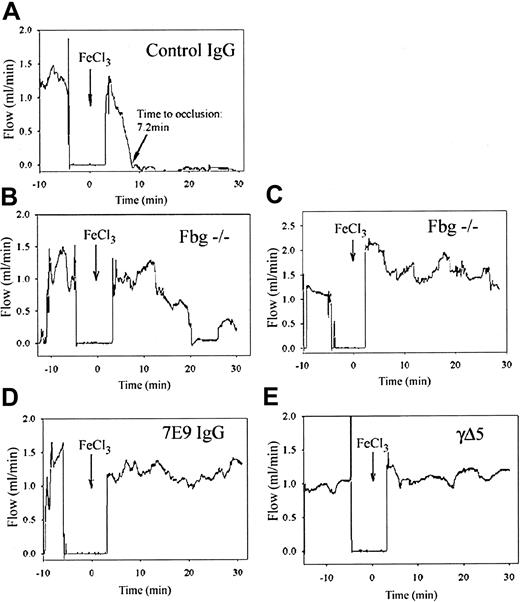 Figure 3. Compared to control mice, fbg–/– mice form unstable thrombi, and both 7E9-treated and γΔ5 mice form small mural thrombi. Representative recordings of blood flow through the carotid artery before and after FeCl3 injury in mice from each group. Blood flow through the carotid artery was recorded using a Doppler flow probe. Just before the injury, the lubricating jelly covering the probe was aspirated and then the site was rinsed with normal saline and dried. As a result, no blood flow was recorded during this time interval. Injury was induced by application of FeCl3 (arrow; time 0) for 3 minutes, after which the artery was covered with lubricating jelly and flow was continuously recorded for 30 minutes. (A) A control animal that developed an occlusive thrombus at 7.2 minutes. Note that the blood flow remained dramatically reduced thereafter. (B-C) Results from 2 representative fbg–/– mice. The animal in panel B had multiple abrupt episodes of increased carotid blood flow corresponding to extensive embolization. Even after a sustained period of virtually no blood flow, at about 25 minutes embolization recurred and was associated with an increase in blood flow. The animal in panel C did not develop occlusive thrombus during the observation time period due to repeated embolization. (D-E) Neither the 7E9-treated mouse (D) nor the γΔ5 mouse (E) developed an occlusive thrombus during the 30-minute period.