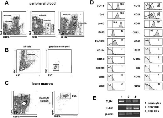 Figure 1. Characterization and phenotype of mouse monocytes. (A) Monocytes were identified in lysis buffer-treated, B-cell-depleted, heparinized blood by correlating their expression of CD11b, Gr-1, F4/80, and Ly-6C. Monocytes and neutrophils are shown in the boxes with solid and dashed lines, respectively, to allow the comparison of their relative expression level of the indicated markers. Cells in the boxes with double dashed line correspond to noncirculating CD11bhigh F4/80high macrophages from the thoracic cavity. (B) FSC versus SSC profiles of ungated total blood cells (left), and after gating for monocytes on the basis of their CD11b versus Ly-6C expression (right). (C) CD11b versus Ly-6C profiles of total bone marrow samples and of purified bone marrow monocytes (see “Materials and methods” for details on monocyte purification). (D) Phenotypic analysis by flow cytometry of C57BL/6 mouse blood monocytes performed by triple immunofluorescent staining after gating on monocytes on the basis of their CD11b versus Ly-6C profile, as shown in panel A. The percentage of cells with a fluorescence intensity over the vertical lines (dark gray area of the profiles), corresponding to the upper limit of control background staining (shown in the CD11b histogram), is indicated. White profiles on the CD43 and CD24 histograms correspond to the expression of these markers by BALB/c blood monocytes (in these cases the percentage of cells with a fluorescence intensity over the background staining is indicated in parentheses). Data are representative of 5 experiments with similar results. (E) RT-PCR analysis of TLR-4 and TLR-9 expression by bone marrow monocytes. CD8+ and CD8- splenic DCs were used as positive controls for both TLR-4 and TLR-9 expression. β-Actin mRNA levels are shown to control for the relative expression of TLR-4 and TLR-9 mRNA in the different populations considered. Data are representative of 2 experiments with similar results.