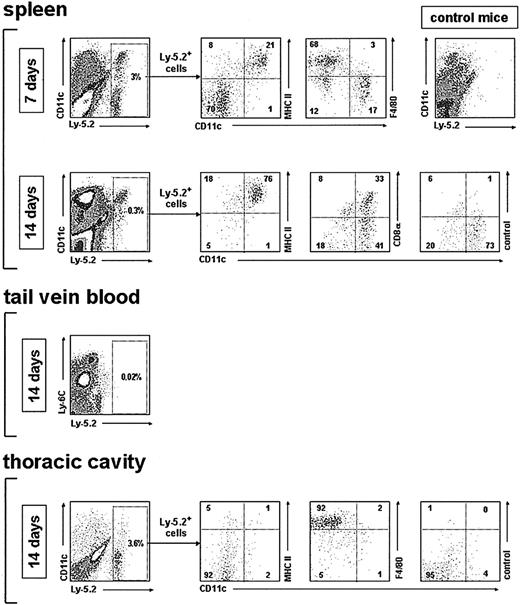 Figure 7. Analysis of the in vivo DC reconstitution potential of monocytes after transfer into irradiated recipients. Density plots show the phenotypic analysis of monocyte-derived cells after gating for Ly-5.2+ cells, performed on spleen low-density cell fractions, tail vein blood, and thoracic cavity, at the indicated times after monocyte transfer into irradiated recipients. Control mice were injected intravenously with Ly-5.1 recipient-type bone marrow cells. The percentage of Ly-5.2+ cells as well as the percentage of cells in each quadrant of the density plots corresponding to the phenotypic analysis is indicated. Data are representative of 4 (spleen) and 2 (tail vein and thoracic cavity) experiments with similar results.