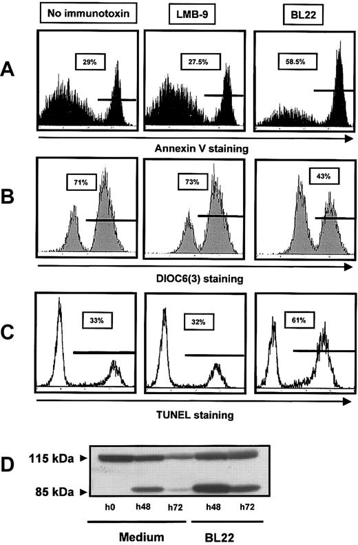 Figure 3. BL22 cytotoxicity involves DNA-strand breaks, PARP cleavage, and damage to mitochondria. CLL cells were cultured for 72 hours in the presence of BL22 or LMB-9 at 1000 ng/mL or in the absence of immunotoxin. After staining with fluorescent compounds, cells were analyzed by flow cytometry. (A) Cells were stained for Annexin V, as described in the legend to Figure 2. (B) For analysis of the mitochondrial membrane potential Δψm, cells were incubated with DiOC6(3) for 30 minutes. Results from 1 representative experiment are displayed; 2 additional experiments gave similar results. (C) DNA-strand breaks were assessed using TUNEL assay, as described in “Patients, materials, and methods.” (D) CLL cells were grown for indicated periods in the presence of BL22 or in medium without immunotoxin. Cell lysates containing 50 μg protein were loaded into each lane, and cleavage of PARP was analyzed by immunoblotting, as described in “Patients, materials, and methods.” An additional experiment gave comparable results.