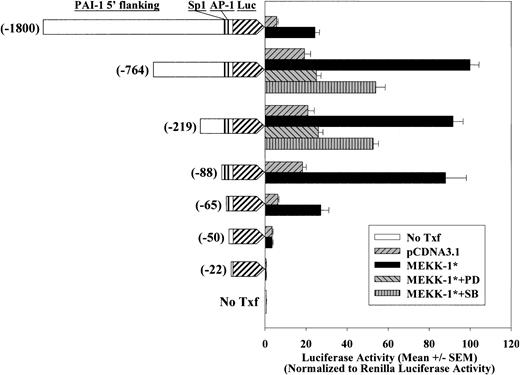Figure 1. Effects of constitutively active MEKK-1 on PAI-1 promoter activity in VSMCs. A series of deletional PAI-1 promoter/Luciferase constructs, PAI-1(-1800)/Luc, PAI-1(-764)/Luc, PAI-1(-219)/Luc, PAI-1(-88)/Luc, PAI-1(-65)/Luc, PAI-1(-50)/Luc, and PAI-1(-22)/Luc, were cotransfected into VSMCs with pCDNA3.1 blank vector or with MEKK-1*. To examine if the activities of MEK1,2 or p38 were required in MEKK-1 stimulation, cells were treated with 50 μM PD98059 (PD) or 5 μM SB203580 (SB) 6 hours after the start of transfection. Renilla luciferase activities of cotransfected pRL-TK were used to normalize transfection efficiency. All transfections were performed in triplicate, and bar graph shows results from 3 or more separate experiments.