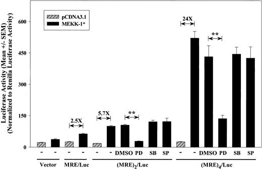 Figure 2. MRE responds to MEK1,2-dependent MEKK-1 stimulation in a copy number—dependent manner. Isolated MRE region was inserted into pGL3 promoter to generate MRE/Luc, (MRE)2/Luc, and (MRE)4/Luc. These constructs were transfected into VSMCs with pCDNA3.1 blank vector (hatched bars) or MEKK-1* (solid bars). Transfected cells were treated with 50 μM PD98059 (PD), 5 μM SB203580 (SB), or 20 μM SP600125 (SP) 6 hours after the start of transfection. Cells were lysed 1 day after the start of transfection, and firefly luciferase activities were normalized to Renilla luciferase activities of cotransfected pRL-TK. Results show normalized luciferase activity (mean ± SEM) from at least 3 separate experiments. Fold increases induced by MEKK-1* compared with blank vector, pCDNA3.1, are shown. **Statistical significance with P < .001.