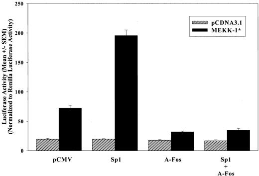 Figure 4. Dominant-negative AP-1 inhibits Sp1 enhancement of MEKK-1—stimulated MRE activation. (MRE)2/Luc was transfected into VSMCs with pCDNA3.1 blank vector or MEKK-1* in the presence of pCMV empty vector, Sp1, A-Fos, or Sp1 and A-Fos. Cells were lysed 1 day after the start of transfection and luciferase activities were assayed. Renilla luciferase activities of cotransfected pRL-TK were used to normalize transfection efficiency. All transfections were performed in triplicate, and the bar graph shows results from 3 separate experiments.