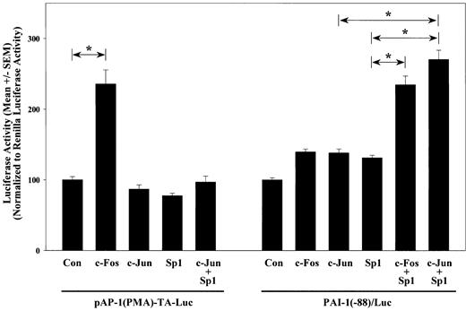 Figure 5. Sp1 and c-Jun cooperatively activate the PAI-1 promoter. VSMCs were transfected with PAI-1(-88)/Luc or pAP-1(PMA)-TA-Luc in the presence of pCDNA3.1 empty vector (Con), c-Fos, c-Jun, Sp1, or c-Jun and Sp1. Cells were lysed 1 day after the start of transfection, and luciferase activities were measured and normalized to Renilla luciferase activities of cotransfected pRL-TK. All transfections were performed in triplicate, and results from 3 or more separate experiments are shown in bar graph. *Statistical significance with P < .05 by ANOVA.