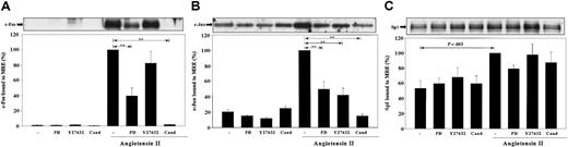 Figure 6. The effects of MEK1,2 and Rho-kinase inhibition, as well as AT1 receptor antagonism, on c-Fos, c-Jun, and Sp1 binding to the MRE. VSMCs were stimulated by Ang II for 1 hour with or without the pretreatment of 50 μM PD98059 (PD), 10 μM Y27632, or 1 μM candesartan (Cand). Nuclear proteins were extracted and incubated with biotinylated MRE prebound to Streptavidin-agarose beads. MRE-associated c-Fos (A), c-Jun (B), and Sp1 (C) was quantitated by Western blot analyses. Representative blots and bar graph quantitations from 3 or more separate experiments are shown. Statistical significance with P < .001 by ANOVA is marked as **.