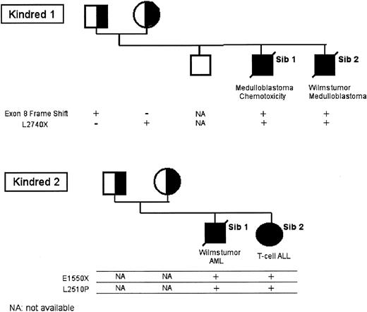 Figure 2. Segregation of mutant BRCA2 alleles in the 2 FA-D1 kindreds. gDNA was prepared from primary cells (lymphocytes or fibroblasts) from the indicated family members, and BRCA2 sequencing was performed.