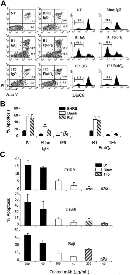 Figure 4. Apoptosis induced by anti-CD20 mAb. mAbs were either added in free solution (A-B) or coated onto wells for 2 hours at 37°C, and unbound mAbs were removed (C) before Daudi, EHRB, or Raji cells were added to the wells. Numbers in quadrants represent the percentage of cells in each section of the quadrant. Bars represent mean apoptosis value ± SD from at least 3 separate experiments. Apoptosis was assessed 18 to 24 hours later by annexin V/PI staining (left-hand dot plots in A), annexin V staining (B-C), or DioC6 staining (right-hand plots in A).