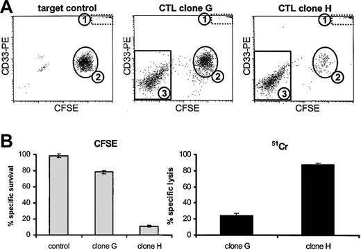 Figure 1. Correlation between the CFSE-based cytotoxicity assay and the conventional 51Cr release assay. (A) Dot plots of AML-193 cells labeled with CFSE and incubated for 4 hours in the absence of T cells (target control) or in the presence of 2 specific CTL clones (E/T ratio, 1:1). Population 1 contained the fluorescent microspheres which could be discriminated on the basis of their scattering pattern and their fluorescence. Population 2 contained the CFSE and CD33+ AML-193 cells. The effector T cells added could be discriminated as a population of CFSE-negative CD33- cells (population 3). (B) The percentages of surviving AML-193 cells (± SD) as measured by the CFSE-based cytotoxicity assay (▦) and the percentages of lysed AML-193 cells as measured by the 51Cr release assay (▪) after 4 hours of incubation in the absence of CTLs (control) or after incubation with CTL clone G or CTL clone H (n = 3).