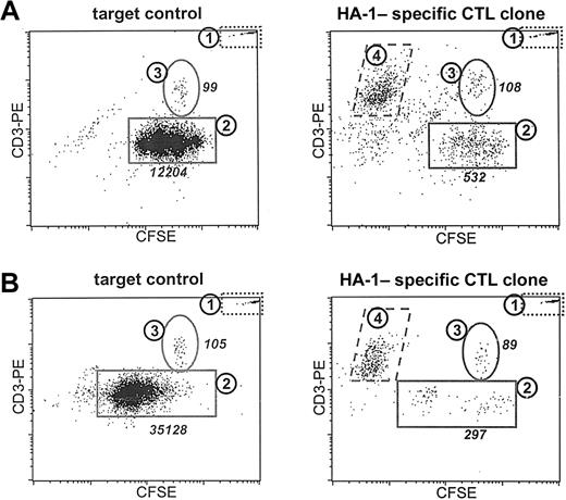 Figure 3. Analysis of the specific cytotoxicity induced by a T-cell clone in different cell types within a heterogeneous target cell population. The MNC fraction isolated from a female patient with AML positive for HLA-A2 was stained with CFSE. (A) Malignant progeny were induced by culturing the target population in the presence of GM-CSF, IL-3, G-CSF, and SCF for 3 days (target control). The effect of 24 hours of incubation of the induced malignant progeny with an HA-1-specific T-cell clone in a 1:1 E/T ratio is demonstrated. (B) The capacity of leukemic cells to produce malignant progeny after the simultaneous addition of cytokines and the cytotoxic T-cell clone (E/T ratio, 1:1) is demonstrated. Demonstrated are the target control after 5 days of culture and the surviving cells after 5 days of exposure to cytokines and CTLs. Plotted are the PI-negative events in the life gate counterstained with CD3-PE. Population 1 represented the population of fluorescent microspheres. Population 2 represented the leukemic cells. Populations 3 and 4 contained the healthy patient T cells present and the added CFSE-negative effector T cells, respectively. The absolute numbers are listed for populations 2 and 3.