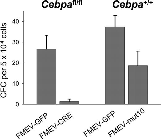 Figure 2. G-CSF stimulates the formation of CFU-G colonies in mut10-transduced BM cells but not in BM in which Cebpa has been excised. To determine the differentiation potential of mut10-transduced cells in response to G-CSF alone, Linneg BM cells from wild-type B6 mice were infected with either FMEV-mut10 or control vector FMEV-GFP, sorted for GFP expression, and then plated in methylcellulose containing G-CSF. As a control, Linneg BM were isolated from SWB mice homozygous for floxed Cebpa alleles. BM cells were infected with either FMEV-CRE or FMEV-GFP, sorted for GFP expression, and plated in G-CSF. Colonies were scored 7 days after plating. Results presented are from a single experiment performed in triplicate. Error bars indicate SEM.