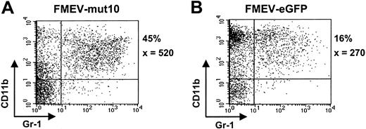 Figure 3. FMEV/mut10-infected cells still contain a high percentage of granulopoiesis after 14 days in culture. Flow cytometric profiles of cells from FMEV-mut10 (A) or control FMEV-eGFP (B) cultures 14 days after infection and maintenance in SCF, IL3, FLT3, and IL11. The percentage of cells double-positive for CD11b and Gr1 is indicated for each culture, as well as the mean fluorescence intensity of Gr1, of which the expression level correlates with granulocytic maturation. Double-negative cells were c-kit positive and confirmed to be mast cells by microscopic examination of cytospins.