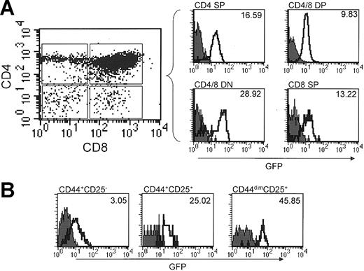 Figure 4. Analysis of Runx1 expression in thymic subsets. The filled and open curves indicate GFP expression in wild-type and Runx1-IRES-GFPk/k cells, respectively. (A) Thymocytes from age- and sex-matched wild-type and Runx1-IRES-GFPk/k mice were stained for CD4 and CD8. GFP expression in thymic subsets determined by flow cytometry using the gating strategy depicted in the dot plot. GFP expression in CD4-CD8-, CD4+CD8+, CD4+CD8-, and CD4-CD8+ thymocytes is shown in the accompanying histograms. The MFI of GFP expression of Runx1-IRES-GFPk/k cells in each subset is indicated. (B) Expression of Runx1 in DN thymocyte subsets. Thymocytes were stained with CD25-PE and CD44-CyC and a cocktail of biotinylated antibodies for CD4, CD8, B220, GR-1, and Mac1; the latter were revealed by staining with SA-APC. Expression of GFP in DN subsets was determined by gating on APC- CD44+CD25-, CD44+CD25+, and CD44-CD25+ cells. The MFI of GFP expression of Runx1-IRES-GFPk/k cells in each subset is indicated.