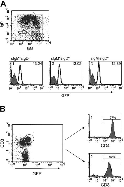 Figure 5. Expression of Runx1 in peripheral lymphocytes. (A) Spleen cells were isolated from either wild-type or Runx1-IRES-GFPk/k mice and stained for B220, surface IgM, and surface IgD. The dot plot depicts the expression of IgM and IgD in B220+ B lymphocytes and shows the gating strategy used. GFP expression in IgM+IgD-, IgM+IgD+, and IgMdimIgD+ cells is depicted in panels i, ii, and iii, respectively. The filled and open curves indicate GFP expression in wild-type and Runx1-IRES-GFPk/k cells, respectively. The MFI of GFP expression of Runx1-IRES-GFPk/k cells in each subset is indicated in the figure. (B) Peripheral T-cell lymph node subsets were stained for CD3, CD4, and CD8. GFP expression in CD3+CD4+ and CD3+CD8+ subsets was determined by flow cytometry using the gating strategy shown. The MFI of GFP expression of Runx1-IRES-GFPk/k CD4+ and CD8+ cells is 16.68 and 7.39, respectively. (C) Determination of the relative level of Runx1 mRNA expression by real-time RT-PCR in sorted CD4+ and CD8+ lymph node cells from Runx1-IRES-GFPk/k mice. The Runx1 values were normalized relative to that of the corresponding GAPDH level, to account for differences in the amount of RNA analyzed.