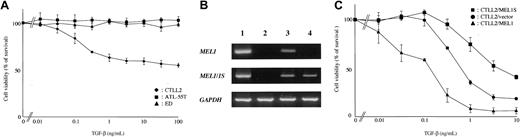 Figure 5. Sensitivity to TGF-β in ATL cell lines and CTLL-2 cell lines expressing MEL1 or MEL1S gene. (A) Resistance of ATL cell lines to TGF-β. ATL cell lines, ATL-55T and ED, and mouse T-cell line, CTLL-2, were treated with the indicated concentrations of TGF-β for 72 hours. Proliferation of each cell was examined by MTT assay. The results are shown as percentages of the values obtained from control TGF-β-free culture. The experiment was performed at least 3 times. The results are the mean ± SD of 3 experiments. (B) Expression of MEL1 and MEL1S gene in CTLL-2 transfected with vectors expressing MEL1 or MEL1S genes. CTLL-2 was transfected with vectors expressing MEL1 or MEL1S genes, and their expressions were studied by RT-PCR as described in Figure 3. Lane 1 shows 293 cells (control); lane 2, CTLL-2/empty vector; lane 3, CTLL-2/MEL1; and lane 4, CTLL-2/MEL1S. (C) MEL1S expression confers resistance against TGF-β in CTLL-2. MEL1-expressing (▴, MEL1; ▪, MEL1S) and unmodified (•) CTLL-2 were treated with the indicated concentrations of TGF-β for 96 hours. The results are shown as percentages of the values obtained from control TGF-β-free culture. The results are the mean ± SD of 3 experiments.