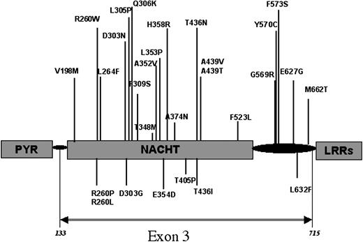 Figure 1. Locations of the mutations in CIAS1 encoding protein. All the mutations identified to date in CIAS1 that cause FCU, MWS, or CINCA/NOMID syndromes are located in exon 3, which encodes the NACHT domain and its flanking regions. Mutations previously reported are indicated above the protein structure, whereas new mutations identified in this study appear below the protein structure.
