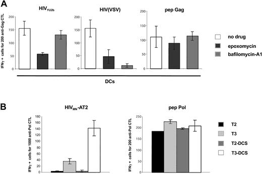 Figure 5. Analysis of the processing pathways of exogenous HIV-1 antigens in DCs and in DC-SIGN+ cells. (A) HIV-1 exogenous presentation is proteasome-dependent. Primary immature DCs were pretreated with AZT and exposed to the indicated viruses, and an IFNγ Elispot assay was performed using anti-Gag EM71-1 as effectors. The proteasome inhibitor epoxomycin (0.1 μM) or the inhibitor of vesicular acidification bafilomycin-A1 (250 nM) was added 30 minutes before viral exposure. Gag SL9 peptide was used at 10 nM. Similar results were observed with 3 different donors, irrespective of the magnitude of the inhibition by anti–DC-SIGN mAbs (not shown). (B) HIV-1 exogenous presentation in DC-SIGN+ cells requires TAP transporters. T2, T3, and their DC-SIGN+ counterparts (T2-DCS and T3-DCS, respectively) were exposed to HIVMN-AT2, and an IFNγ Elispot assay was performed using anti-Pol EM71-1 as effectors. T2 cells are deficient for TAP1 and TAP2 antigen transporters. T3 cells were derived from T2 cells and re-express TAP1 and TAP2 proteins. IV9 peptide was used at 1 nM. Similar results were obtained with EM71-1 effectors (not shown). Data are mean ± SD of triplicates and are representative of 3 independent experiments.