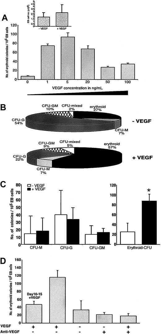 Figure 1. VEGF-A165 increases the erythroid colony formation resulting from EB treatment with cytokines+BMP-4. (A-D) Following 15 days of differentiation with cytokines+BMP-4 (-VEGF) or cytokines+BMP-4+VEGF-A165 (+VEGF), EBs were dissociated and subjected to erythroid-myeloid CFU assays by plating 1 × 105 EB cells in methylcellulose, as described in “Materials and methods.” (A) The mean numbers of erythroid colonies are plotted per 1 × 105 EB cells according to the indicated concentrations of VEGF-A165, added at the initiation of EB differentiation (n = 6 experiments for each hESC line). Total numbers of cells recovered from dissociated EBs at day 15 after treatment with or without VEGF-A165 were determined by trypan blue exclusion (inset; n = 11). (B) The percentage of the erythroid subtype among all CFU subtypes is shown for the indicated EB treatments (n = 6 for each treatment and each hESC line). (C) The mean numbers of myeloid (left) and erythroid (right) colonies generated after EB treatment with (+VEGF) or without (-VEGF) VEGF-A165 are shown (n = 11). (D) The mean numbers of erythroid colonies are plotted according to the indicated EB treatments. VEGF-A165 was added (+) or not (-) throughout the entire EB differentiation period, either at the initiation (days 0-15) or at day 10 (days 10-15). When stated, a neutralizing anti—VEGF-A165 mAb was also added (+) or not (-) at the initiation of EB (n = 4 experiments for each treatment). For A, C, and D, SDs are represented by vertical bars. *P < .05.