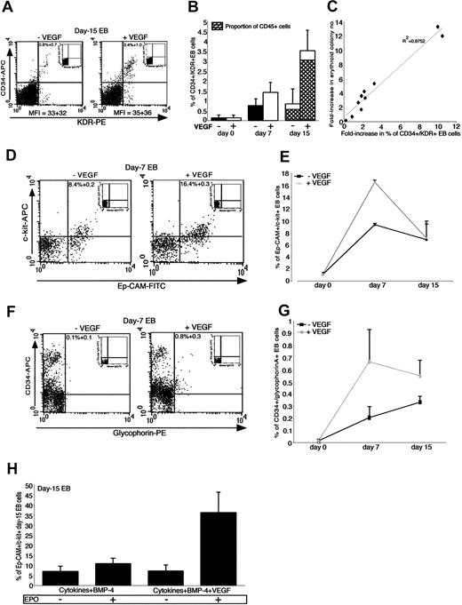 Figure 3. VEGF-A165 increases the proportions of early progenitors/precursors during EB differentiation. EBs were differentiated in the presence of cytokines+BMP-4 (-VEGF) or cytokines+BMP-4+VEGF-A165 (+VEGF) for the indicated days and analyzed by flow cytometry for coexpression of CD34 and KDR (A-C) as well as of c-kit and Ep-CAM (D-E) and CD34 and glycophorin A (F-G). For panels A, D, and F, dot plot quadrants were based on their isotype controls shown as insets. (A) Represents a flow cytometric analysis performed at day 15 of EB differentiation. Mean fluorescence intensities (MFIs) for KDR expression are indicated. (B) Histograms represent the mean percentage of the CD34+/KDR+ subset in both types of EBs at the indicated days of differentiation, with the corresponding SD (vertical bars) (n = 7 experiments for day 15 and n = 3 for both days 0 and 7). At day 15, the proportion of cells coexpressing CD45 within both CD34+/KDR+ populations are represented by gray bars. (C) Plot showing the straight line fit for the predominance of the CD34+/KDR+ subset at day 15 of VEGF-A165—treated EBs versus the increase in the number of erythroid colonies derived from these EBs. (D, F) Representative flow cytometric analyses of Ep-CAM+/c-kit+ and CD34+/glycophorinA+ coexpressions respectively, performed on control (-VEGF) and VEGF-A165—treated (+VEGF) EBs differentiated for 7 days. (E, G) Kinetics analyses of the mean percentages of the above subsets at the indicated days of EB differentiation. SD are represented by vertical bars (n = 3 to 5 independent experiments for each subset and day). (H) Represents the mean percentages of the Ep-CAM+/c-kit+ subset within EBs differentiated for 15 days with the indicated treatments in the presence (+) or absence (-) of EPO. SD are represented by vertical bars (n = 3 independent experiments).
