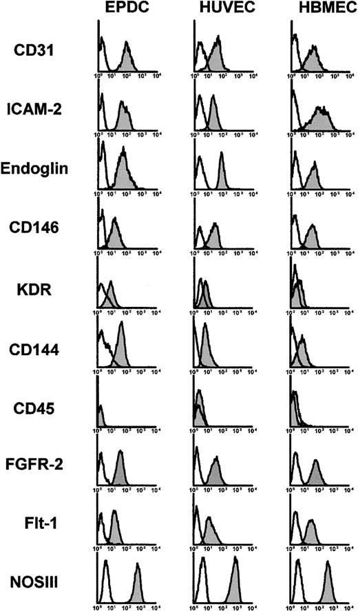 Figure 1. FACS analysis of CD31, ICAM-2, endoglin, CD146, KDR, CD144, CD45, FGFR-2, Flt-1, and NOSIII in EPDCs, HUVECs, and HBMECs at 40 days of culture. Plots show isotype control IgG staining (white histograms) versus specific antibody staining (gray histograms). Each analysis shown is a representative profile.