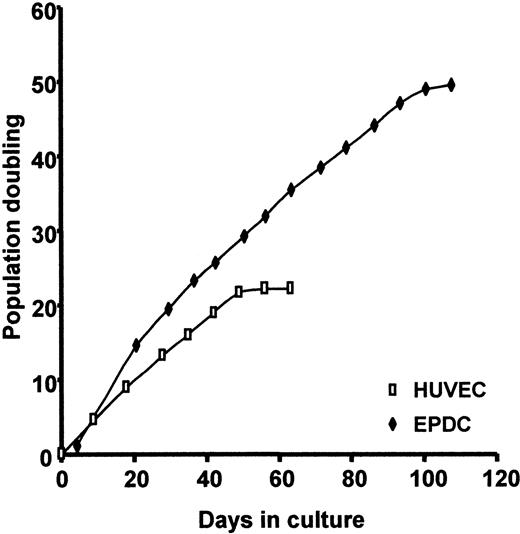 Figure 4. Proliferation potential of EPDCs compared with HUVECs under EGM2-MV conditions. Cells were enumerated at each passage.