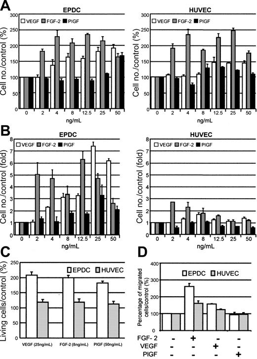 Figure 5. Effect of VEGF, FGF-2, or PlGF on EPDC and HUVEC proliferation, survival, and mobility. Cell proliferation was analyzed (A) in the presence of 2.5% of FBS or (B) under serum starvation conditions. (C) The percentage of living cells compared with the control (EGM2-MV medium depleted in FBS, FGF-2, and VEGF) was estimated by annexin V/PI staining. The annexin V-/PI- population was representative of living cells. (D) Effect of 10 ng/mL FGF-2, VEGF, or PlGF on EPDC and HUVEC mobility compared with control conditions (EGM2-MV medium containing 0.1% BSA, depleted in FBS, FGF-2, and VEGF).