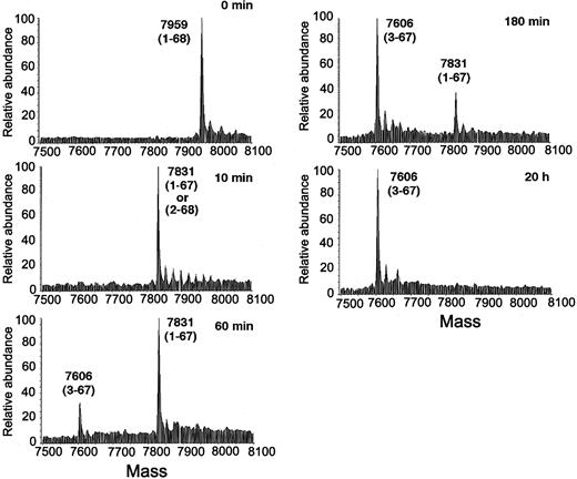 Figure 3. Kinetic analysis of SDF-1α cleavage by human serum. Recombinant SDF-1α (1-68) was incubated at room temperature for the indicated times (0 to 20 hours) with 10% human serum and analyzed by mass spectrometry. The average molecular mass after deconvolution of the indicated ion peaks (left) is shown on the right. Representative experiment is shown.