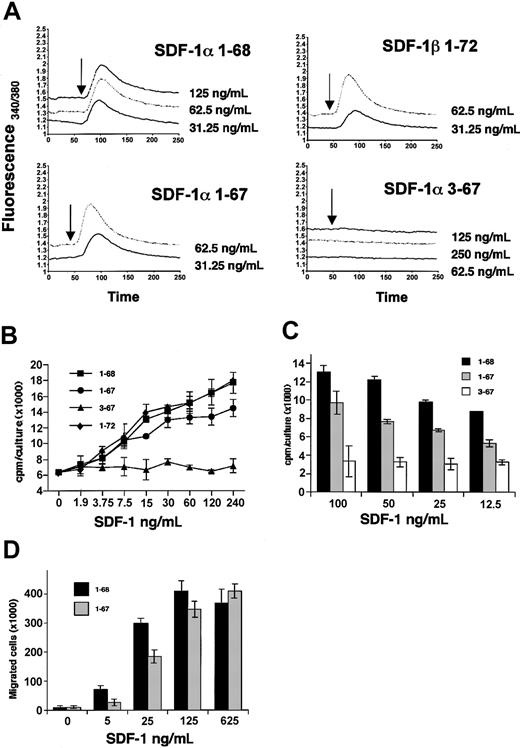 Figure 6. Receptor engagement, stimulation of cell proliferation, and chemotaxis by SDF-1 species. (A) Calcium fluxes in fura-2–loaded Jurkat cells in response to varying concentrations of recombinant SDF-1α (1-68) and SDF-1β (1-72) and synthetic SDF-1α (1-67) and SDF-1α 3-67. The results reflect fluorescence measurements as a ratio of excitation at 340 and 380 nm. Arrows indicate chemokine addition. (B) DW34 pre–B-cell proliferation in response to varying concentrations (1.9 to 240 ng/mL) of recombinant full-length SDF-1β (1-72), SDF-1α (1-68), SDF-1α 1-67 (generated by 10 minutes of incubation with 10% fresh human serum at room temperature), and SDF-1α 3-67 (generated by 20 hours of incubation with fresh serum). The results reflect the mean counts per minute (cpm) per culture (± SEM) of triplicate determinations; a representative experiment of 5 performed is shown. (C) DW34 pre–B-cell proliferation in response to varying concentrations (12.5 to 100 ng/mL) of recombinant full-length SDF-1α (1-68), synthetic SDF-1α 1-67, and synthetic SDF-1α 3-67. The results reflect the mean counts per minute per culture (± SEM) of triplicate determinations; a representative experiment is shown. (D) BL-41 B-cell chemotaxic response to recombinant full-length SDF-1α (1-68) and synthetic SDF-1α (1-67) at varying concentrations (5 to 625 ng/mL). The results reflect the mean (± SEM) number of cells that have migrated to the lower chamber in 5 experiments performed.