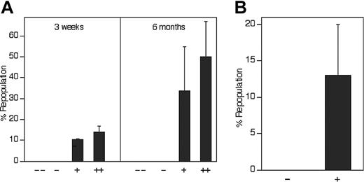 Figure 4. The level of expression of IGF-2 receptors positively correlates with repopulating HSC activity. (A) All repopulating HSCs in the total population of fetal liver cells bind IGF-2–hFc. Of the 36.2% of total CD45.2 fetal liver cells that bind the IGF-2–hFc fusion protein (Figure 3Bv), the top 30% and the lower 70% were arbitrarily sorted into the ++ and + fractions, respectively. Similarly, of the 63.8% that cannot bind the IGF-2–hFc fusion protein, the top 70% and the lower 30% were arbitrarily sorted into the - and - - fractions, respectively. As in Figure 3C, reanalysis of sorted cells indicted that the purity of IGF-2–hFc+ and IGF-2–hFc- cells was higher than 80% (not shown). From each group of total fetal liver cells, 104 cells were transplanted together with 105 CD45.1 competitor cells into lethally irradiated CD45.1 mice (n = 4 to 5). Peripheral blood cells were analyzed for the presence of CD45.2+ cells in lymphoid and myeloid compartments at 3 weeks and 6 months after transplantation. (B) All repopulating HSCs in the Lin-Sca-1+ subpopulation of fetal liver cells bind IGF-2–hFc. Fifty CD45.2 fetal liver Lin-Sca-1+IGF-2–hFc+ and 100 Lin-Sca-1+IGF-2–hFc- cells sorted as depicted in Figure 3Bv were transplanted together with 2 × 105 CD45.1 competitor cells into lethally irradiated CD45.1 mice (n = 4 to 5). Peripheral blood cells were analyzed for the presence of CD45.2+ cells in lymphoid and myeloid compartments at 6 months after transplantation. Error bars indicate SEM.