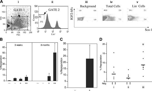 Figure 6. Culture with IGF-2 increases in vivo repopulating activity of adult bone marrow HSCs. (A) About 50% of adult bone marrow Lin-Sca-1+ cells specifically bind IGF-2–hFc. Adult bone marrow cells were incubated at 4°C for 30 minutes with conditioned medium from control transfected 293T cells (iii) or cells transfected with the IGF-2–hFc expression vector (iv,v); the latter medium contained about 1 μg/mL IGF-2–hFc. Cells were then stained with antihuman IgG1-PE, followed by the biotinylated Lin+ antibody cocktail, streptavidin-APC, and anti-Sca-1–FITC. Total bone marrow cells and Lin- cells were then stained, gated (i,ii), and analyzed as in Figure 3B to quantify the binding to IGF-2–hFc and the level of Sca-1. (B) All repopulating HSCs in the total population of bone marrow cells bind IGF-2–hFc. Of the 42.0% of total CD45.2 bone marrow cells that bind the IGF-2–hFc fusion protein (panel Aiv), the top 30% and the lower 70% were arbitrarily sorted into the ++ and + fractions, respectively. Similarly, of the 58.0% that cannot bind the IGF-2–hFc fusion protein (as shown in panel A), the top 70% and the lower 30% were arbitrarily sorted into the - and - - fractions, respectively. From each group of total bone marrow cells, 104 cells were transplanted together with 105 CD45.1 competitor cells into lethally irradiated CD45.1 mice (n = 4 to 5). Peripheral blood cells were analyzed for the presence of CD45.2+ cells in lymphoid and myeloid compartments at 3 weeks and 6 months after transplantation. (C) All repopulating HSCs in the Lin-Sca-1+ subpopulation of bone marrow cells bind IGF-2–hFc. Fifty CD45.2 bone marrow Lin-Sca-1+IGF-2–hFc+ and 100 Lin-Sca-1+IGF-2–hFc- cells, sorted as depicted in panel Av, were transplanted together with 2 × 105 CD45.1 competitor cells into lethally irradiated CD45.1 mice (n = 4 to 5). Peripheral blood cells were analyzed for the presence of CD45.2+ cells in lymphoid and myeloid compartments at 6 months after transplantation. Error bars represent SEM. (D) Culture of adult bone marrow SP cells with IGF-2 enhances in vivo repopulating stem cell activity. Fifty freshly isolated adult CD45.2 bone marrow SP cells were transplanted directly (with 2 × 105 CD45.1 competitor bone marrow cells per mouse, n = 9) into CD45.1 congenic mice (i). From the same isolation 50 SP cells were cultured 3 days in medium alone (ii) or in medium with 1 μg/mL IGF-2 (iii). Serum-containing medium supplemented with SCF, FL, and IL-6 was used. Together with 2 × 105 competitor CD45.1 bone marrow cells, the entire culture derived from these initial 50 SP cells was coinjected into CD45.1 recipients (n = 8 to 9). Peripheral blood cells from mice undergoing transplantation were analyzed for the presence of CD45.2+ cells in lymphoid and myeloid compartments at 3.5 months after transplantation. *Significantly different from panel i and ii values; P < .05.