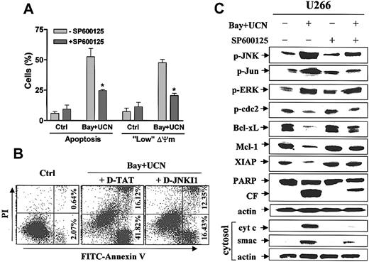 Figure 5. Activation of SAPK/JNK plays a functional role in Bay 11-7082/UCN-01-mediated down-regulation of antiapoptotic molecules and apoptosis in MM cells. (A) U266 cells were treated with 200 nM UCN-01 + 4 μM Bay 11-7082 in the presence and absence of the JNK inhibitor SP600125 (20 μM) for 24 hours, after which the percentage of cells displaying morphologic features of apoptosis or loss of mitochondrial membrane potential (Δψm) were determined by evaluating Wright-Giemsa-stained cytospin preparations and monitoring DiOC6 uptake by flow cytometry, as described in “Materials and methods.” Values represent means ± SDs for 3 separate experiments performed in triplicate. *Significantly lower than values for cells treated with Bay 11-7082/UCN-01 in the absence of SP600125; P < .01. (B) U266 cells were treated with 200 nM UCN-01 + 4 μM Bay 11-7082 in the presence of a specific JNK inhibitory peptide (D-JNKI1; 1 μM) or its corresponding control peptide (D-TAT, 1 μM) for 24 hours, after which the extent of apoptosis were monitored by annexin V-FITC staining and flow cytometric analysis as described for Figure 1C. Results are representative of 3 separate experiments. (C) U266 cells were treated as in panel A, after which they were lysed and subjected to Western blot analysis to monitor expression of the indicated proteins. Alternatively, cytosolic S-100 fractions were prepared as described in “Materials and methods,” and the expression of cytochrome c and Smac/DIABLO was assessed by Western blot analysis. For each condition, lanes were loaded with 30 μg protein; blots were subsequently reprobed for actin to ensure equivalent loading and transfer of protein. Two additional studies yielded equivalent results. CF indicates cleavage fragment.