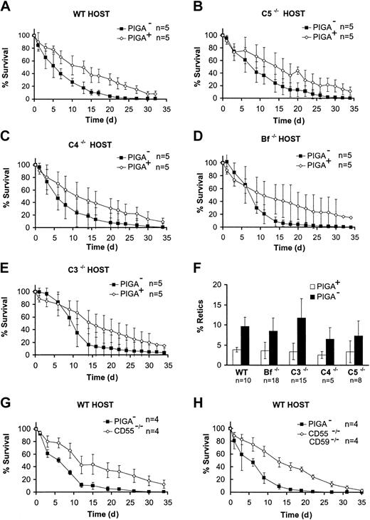Figure 4. The reduced PIGA- RBC survival is independent of complement. RBCs from FL mice with about 50% of PIGA- RBCs were stained with PKH26 and injected into the tail vein of wt or complement-deficient host mice. Proportion of PKH-stained PIGA- and PIGA+ RBCs was monitored by flow cytometry. (A) PIGA-RBCs after transfusion into wt recipient mice. (B) PIGA- RBCs after transfusion into mice deficient in the complement component C5, (C) C4, (D) factor Bf, or (E) C3. The percentage of stained PIGA- and PIGA+ cells was determined for each time point and normalized to 2 hours after injection time point. Data represent mean ± SD. (F) The proportion of reticulocytes (Retics) in the PIGA- RBC population and PIGA+ population in FL wt mice and FL mice additionally deficient for complement component Bf, C3, C4, and C5. In all animals the proportion of reticulocytes was higher within the PIGA- cells compared with the proportion of reticulocytes in the PIGA+ RBCs, indicating that in all mice PIGA- RBCs have a shortened half-life in circulation. (G) The survival of DAF-/- RBCs compared with simultaneously infused 100% PIGA- RBCs showed a shorter survival of PIGA- RBCs. (H) The survival of DAF-/- CD59a-/- RBCs compared with simultaneously infused 100% PIGA- RBCs showed a shorter survival of PIGA- RBCs. The percentage of stained PIGA- and PIGA+ cells was determined for each time point and normalized to 2 hours after injection time point. Data represent mean ± SD.