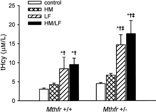 Figure 1. Plasma concentration of total homocysteine (tHcy). Values are mean ± SEM. *Significantly different than mice of the same genotype fed control diet (P < .01). †Significantly different than mice of the same genotype fed HM diet (P < .05). ‡Significantly different than Mthfr+/+ mice fed the same diet (P < .01).