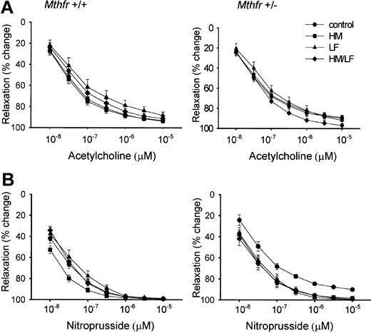 Figure 2. Relaxation responses of aortic rings. Relaxation responses of aortic rings were measured in response to acetylcholine (A) or nitroprusside (B). No significant effects of diet on responses to acetylcholine or nitroprusside were observed for Mthfr+/+ or Mthfr+/- mice. Error bars indicate means ± SEM.