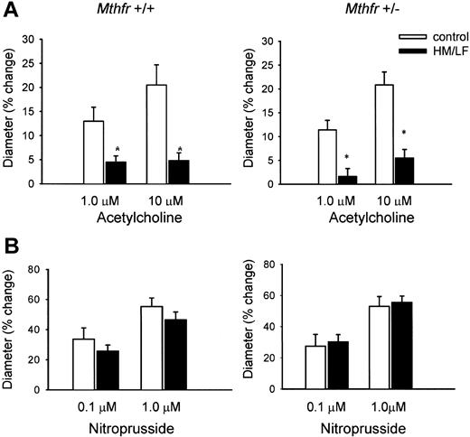 Figure 3. Dilation of cerebral arterioles. Dilation of cerebral arterioles was measured in response to (A) 1.0 μM and 10 μM acetylcholine or (B) 0.1 μM and 1.0 μM nitroprusside. *Significantly different than mice fed control diet (P < .001). Error bars indicate means ± SEM.