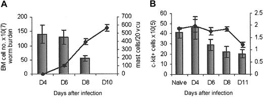 Figure 1. Mast cell counts and c-kit cell number correlate with worm expulsion. (A) NIH mice rapidly expelled T spiralis (histogram) which correlated with an increase in intestinal mastocytosis (line). (B) The total number of cells in the bone marrow reduced during infection (line) as did the total number of c-kit+ cells (histogram); n = 5.