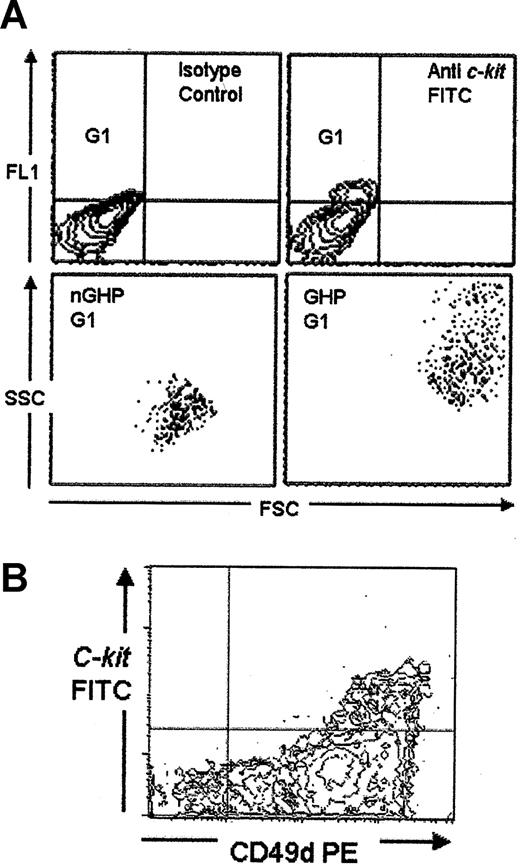 Figure 2. C-kit expression in the bone marrow of naive mice. (A) Nine percent of cells in the bone marrow of naive mice expressed c-kit (G1). These mice could be subdivided into a large granular hemopoietic population (GHP) and a nongranular smaller population (nGHP). (B) All c-kit+ cells coexpressed CD49dhi (α4 integrin) at all time points (ungated data).
