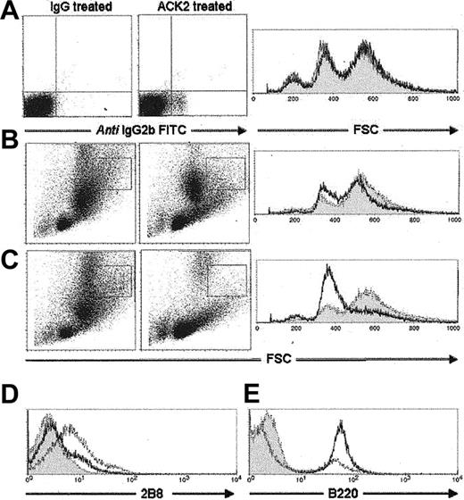 Figure 3. In vivo treatment with anti-c-kit antibody (ACK2) during T spiralis infection successfully depleted GHP and nGHP c-kit+ cells in the bone marrow. (A) Naive mice treated with ACK2 for 8 days. No population changes were observed despite detection of antibody binding. (B) Noticeable population changes in GHP (boxed area) began to occur on day 8 after infection in the ACK2-treated group. (C) Ten days after infection the GHP was severely depleted in the ACK2-treated group. (D) Ex vivo staining with an alternative anti-c-kit antibody (2B8) confirmed the absence of c-kit+ cells in the ACK2-treated group. (E) Cell number recovery on day 10 is due primarily to an increase in B cells. (A-C) Shaded areas indicate IgG-treated group; solid lines, ACK2-treated group. (D-E) Shaded area indicates isotype control; solid line, ACK2-treated group; dashed line, IgG-treated group.