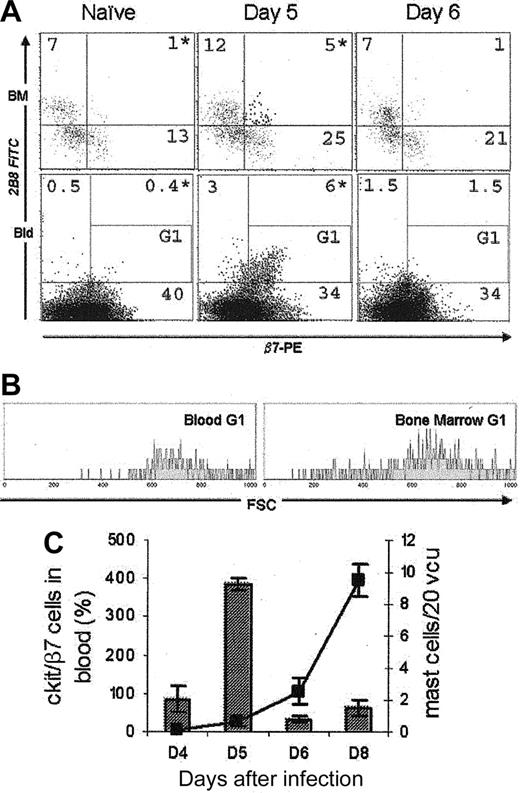 Figure 4. A transient cell population could be detected during infection. (A) c-kit+/β7+ cells were present in the bone marrow and blood for 24 hours, day 5 after infection (upper right quadrant). These cells were absent in naive and day 6 infected mice. Bone marrow was gated on GHP. Blood ungated. *P < .05. (B) Gating on c-kit/β7+ cells (G1) showed that these cells in the blood and bone marrow have similar size (data taken from the same individual day 5 after infection). (C) The appearance of c-kit+/β7+ cells on day 5 (histogram) preceded the appearance of mature mast cells in the gut (line graph) by 3 days; n = 4. These data represent 1 of 3 separate experiments, and are expressed as means ± SD.