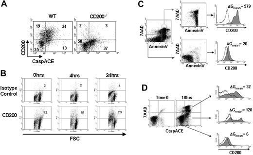 Figure 1. Splenic DCs increase expression of CD200 on the cell surface as they undergo apoptosis. (A) Freshly isolated splenocytes from WT C57BL/6 or CD200-/- mice were quadruple stained with CaspACE, anti-CD200 mAb, CD11c, and 7-AAD. Cells shown are 7-AAD- and CD11c+. Numeric values denote the percentage of cells in each quadrant. (B) CD11c+ DCs were cultured in complete DMEM for 24 hours and assayed for cell size (FSC) versus CD200 expression. Quadrants are arbitrarily set on the basis of minimal (< 5%) staining with isotype control antibody. Numeric values denote the percentage of CD200+ cells. (C) CD11c+ cells were cultured in complete DMEM for 24 hours and sorted into either nonapoptotic (Annexin V-/7-AAD-) or apoptotic (Annexin V+/7AAD-/+) populations, and CD200 expression was examined. (D) CD11c+ cells were cultured in complete DMEM for 18 hours and triple stained with CaspACE, 7-AAD, and anti-CD200 mAb. Electronic gates were set on nonapoptotic (CaspACE-/7-AAD-), early apoptotic (CaspACE+/7-AAD-), or late apoptotic (CaspACE+/7AAD+) cells, and CD200 expression was examined. (C-D) Shaded and unshaded histograms represent staining with anti-CD200 and isotype control mAbs, respectively. ΔGmean values represent the change in MFI between anti-CD200 and isotype control staining. Results are representative of 3 replicate experiments.