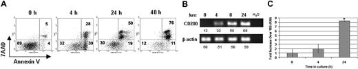 Figure 2. CD200 mRNA expression as DCs undergo apoptosis. (A) CD11c+ cells were isolated and cultured in complete DMEM to induce apoptosis. Numeric values denote (B) semiquantitative RT-PCR for CD200 and β-actin. Numbers adjacent to gel represent densitometry values for above spots. (C) Quantitative real-time RT-PCR for CD200 and18S rRNA were performed on mRNA isolated at various times after culture. Results are representative of 3 replicate experiments. *Statistically significant from 0 hour (P < .05) by Student t test. Error bars indicate ±1 SD.