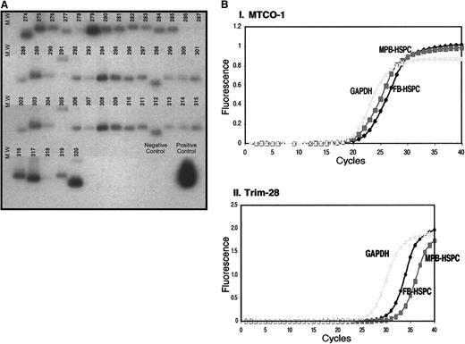 Figure 4. Screening of colonies in the FB-subtracted library using southern hybridization. (A) The blot of FB274 to FB320 is shown as a representative to explain the screening strategy to isolate colonies of FB-subtracted library for further analysis. The nested PCR products of FB-subtracted library were ligated to TA vector and transformed into DH5a cells. Bacterial plasmids were extracted, restriction digested with EcoRI, and gel fractionated on 1.5% agarose gel. Plasmid DNA were then transferred to nylon membrane and hybridized with MPB-HSCs amplified cDNA that was subsequently digested with RsaI and used as a probe. Colonies with the least signal or no hybridization signal were selected for further analysis. (B) Verification of the screening strategy. One of the colonies, MTCO-1, that showed a high hybridization signal with the cDNA of MPB-HSPCs was selected to further analyze its expression in FB-HSPCs and MPB-HSPCs in a Q-PCR approach. (Bi) Using 400 pg of amplified cDNA of FB-HSPCs and MPB-HSPCs, it is shown that there is not dramatic difference between the expression profile of MTCO-1 in both populations (FB-HSPCs Ct = 21.0 and MPB-HSPCs Ct = 20.5). (Bii) However, Trim-28 as one of the colonies with low hybridization signal with cDNA of MPB-HSPCs turned out to be expressed more in FB-HSPCs (Ct = 26.5) than MPB-HSPCs (Ct = 29.0).