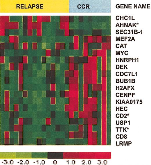 Figure 3. Expression of 19 selected genes in T-ALL patients who relapsed versus those who remained in CCR. Expression of 19 selected genes in T-ALL from 8 patients who remained in CCR for more than 2 years and 16 patients who experienced a relapse less than 2 years after achieving CR. Asterisks identify the top 3 genes that provide the smallest prediction error.